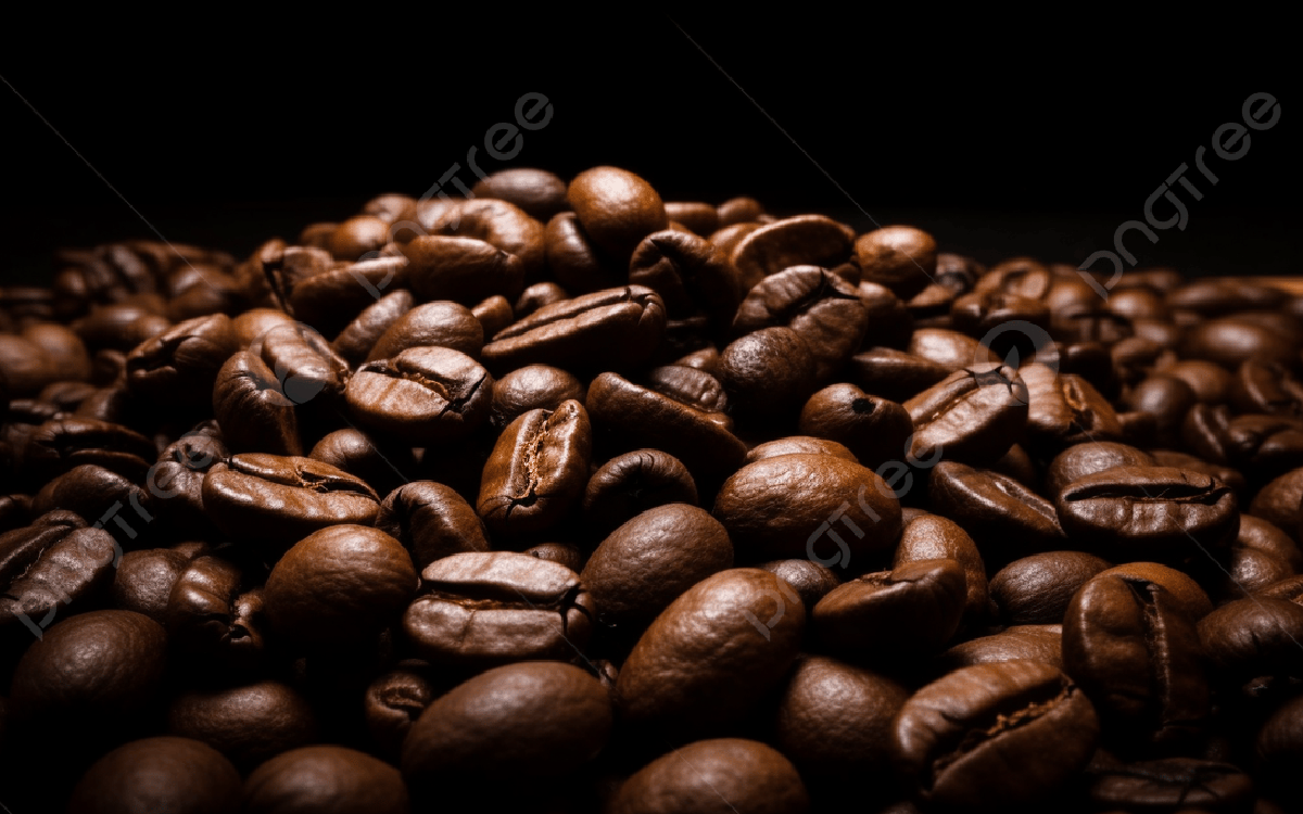 Coffee Liberica